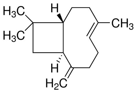 beta caryophyllene|Caryophyllene .